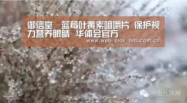 御信堂—蓝莓叶黄素咀嚼片 保护视力营养眼睛-华体会官方(图1) 华体会