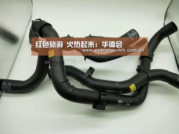 华体会登录