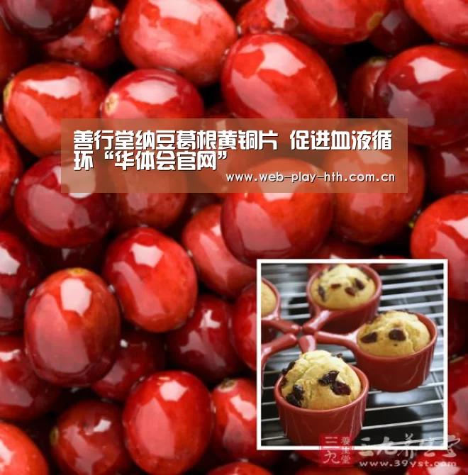 善行堂纳豆葛根黄铜片 促进血液循环“华体会官网”(图2) 华体会官网