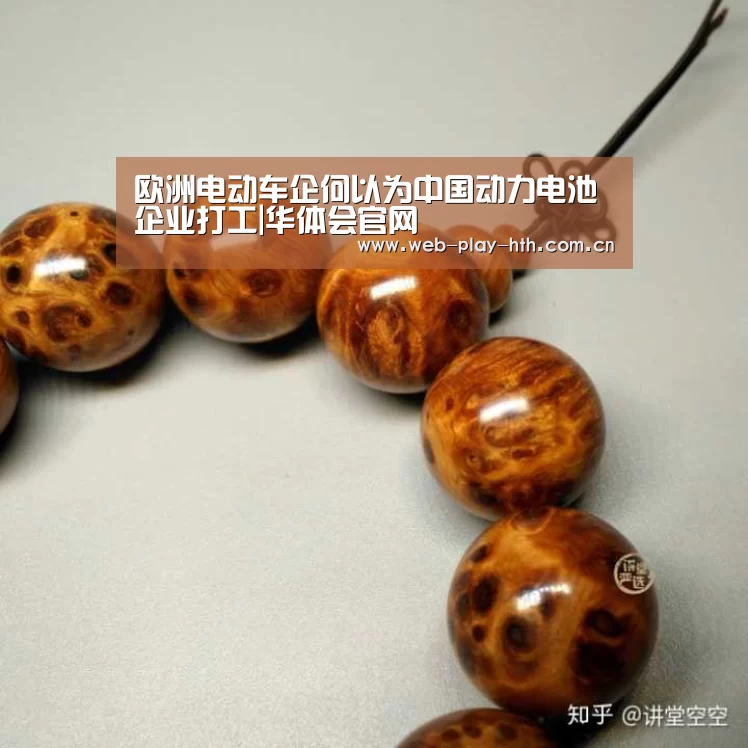 欧洲电动车企何以为中国动力电池企业打工|华体会官网(图4) 华体会登录