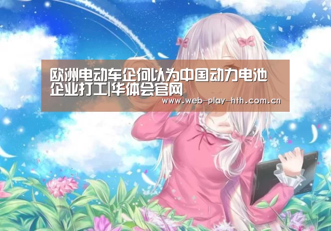 欧洲电动车企何以为中国动力电池企业打工|华体会官网(图3) 华体会登录