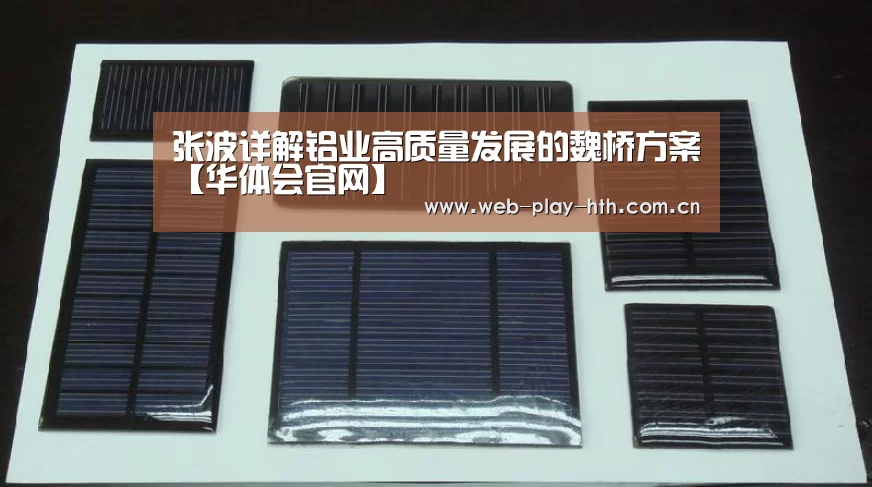 张波详解铝业高质量发展的魏桥方案【华体会官网】(图1) 华体会