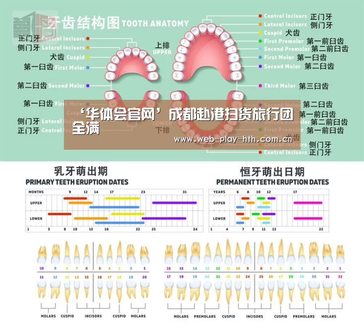 ‘华体会官网’成都赴港扫货旅行团全满(图1) 华体会官方