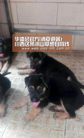 华体会官网