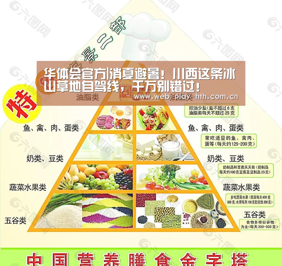 华体会