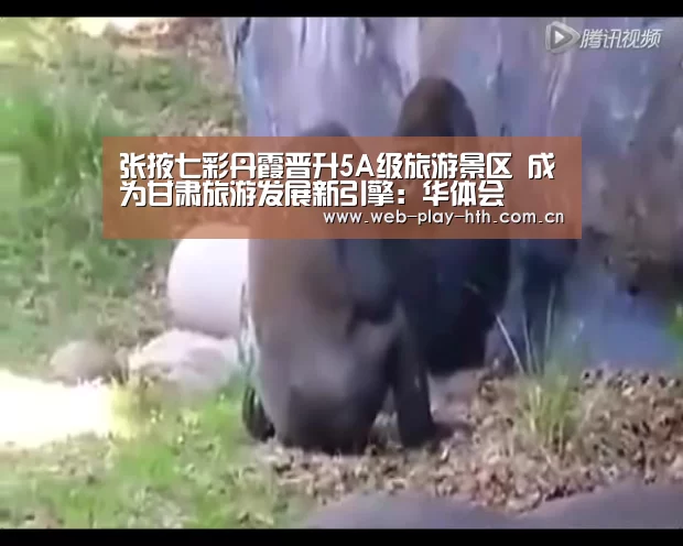 华体会登录